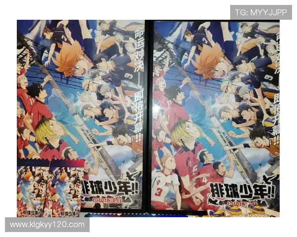 排球爱好者必备 排球周边产品全攻略 助力你的比赛与训练体验